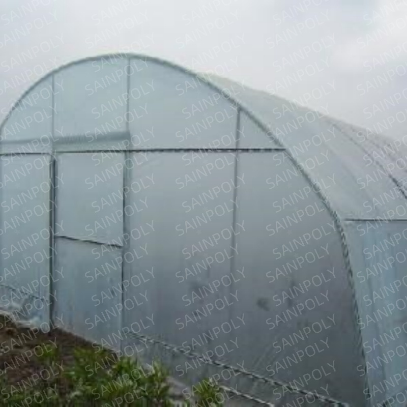 Mini Single Span Hydroponic Agricultural Tomato Film Tunnel Greenhouse Efficient Growth