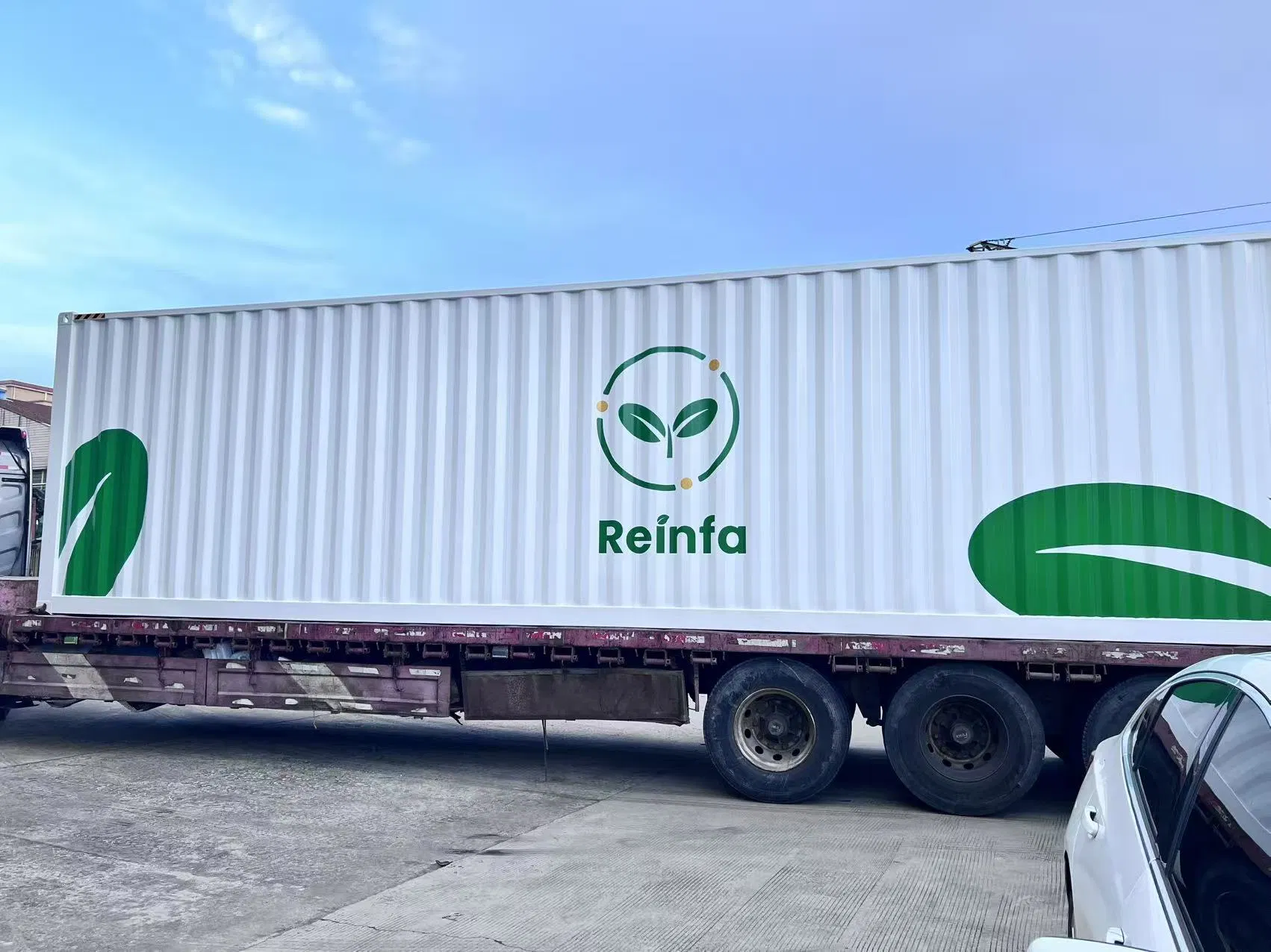 Smart Vertical Grow Hydroponic Farming System Lettuce 40FT Shipping Container Farm