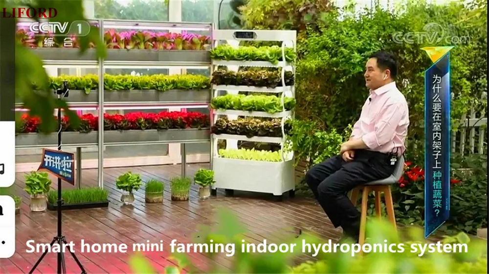 NFT Hydroponics System