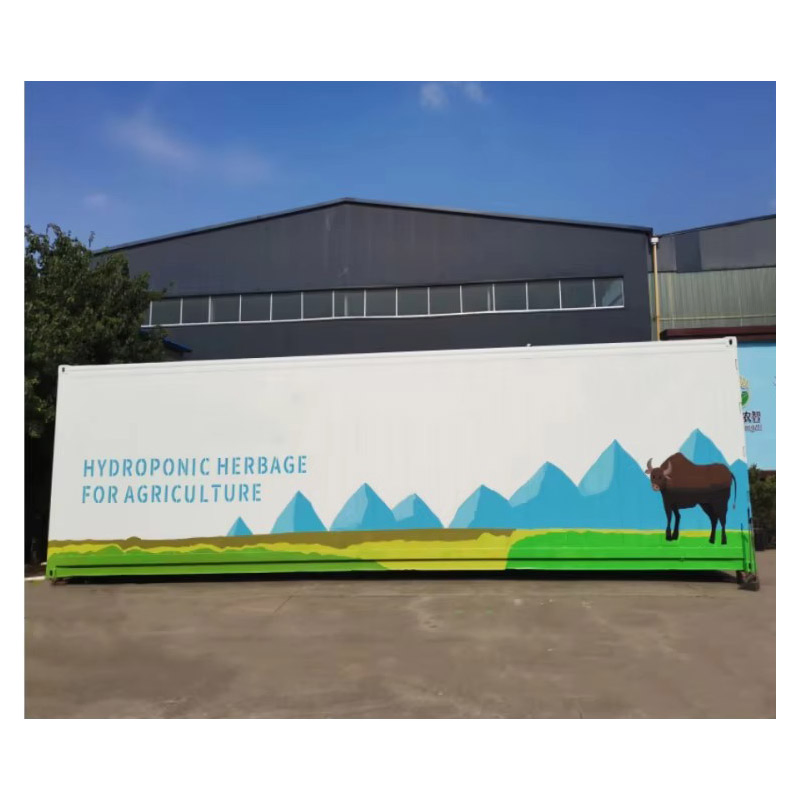 Agg Custom Commercial Shipping Container Farming Strawberry Ebb Flow Seedling Hydroponic Nursery Smart Farm Container Farms Planting Container for Herbs