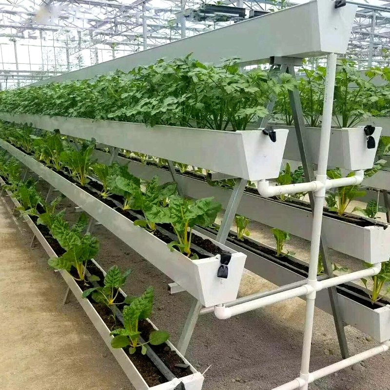 Manufacturer Hydroponic Manufacturing Strawberry Gutter Smart Farm Seedling Substrate Growing Vegetables Hydroponic Farm