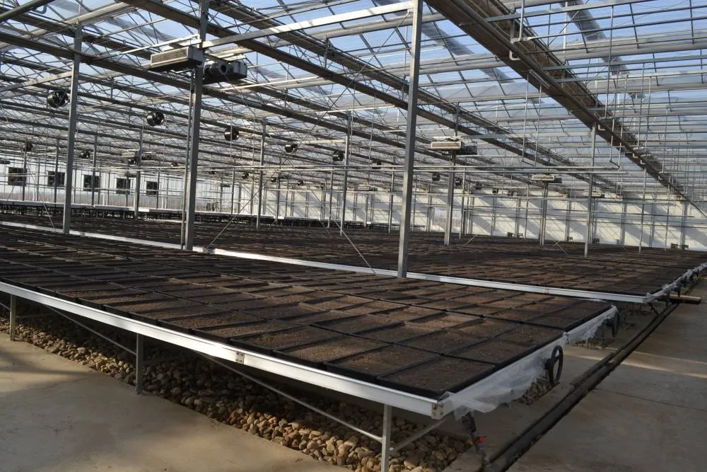 Hydroponic Rows