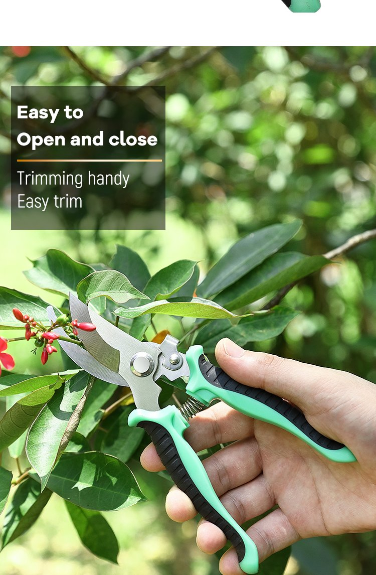 Professional Garden Trimming Pruner Titanium Made Garden Tools of Bypass Pruning Shear for Flowers/Trees