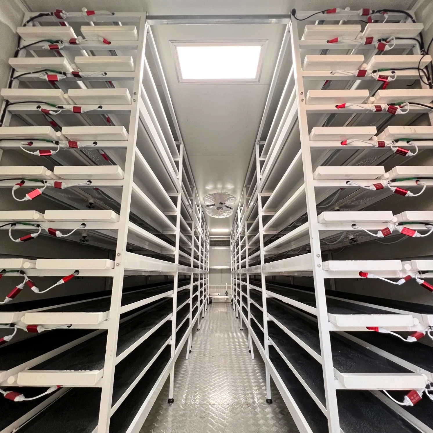 Agg Indoor Vertical Grow System Hydroponic Aeroponic Container Farm for Green Herbs Strawberries Tall Plants Indoor Vertical Grow