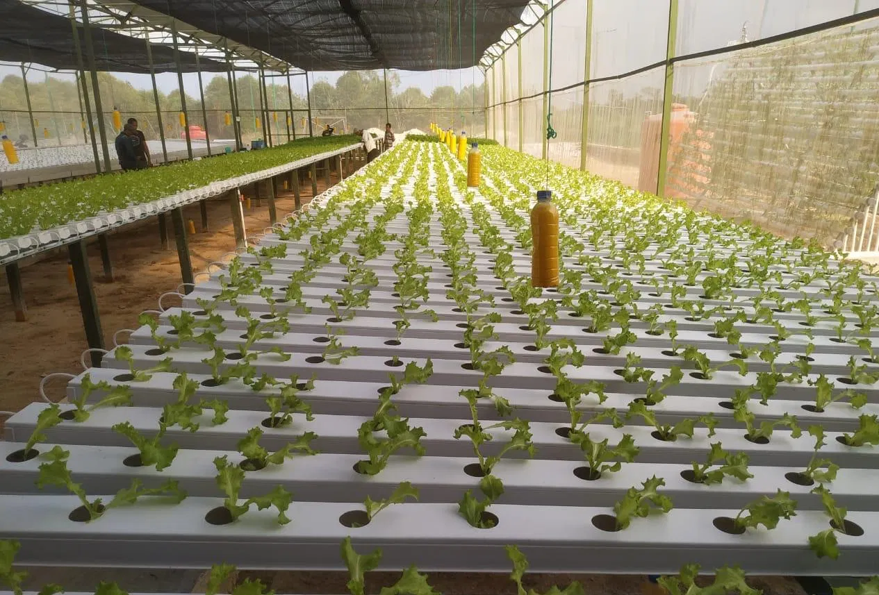 Indoor Greenhouse Vertical Hydroponic Gardening System Nft Farming PVC Gully