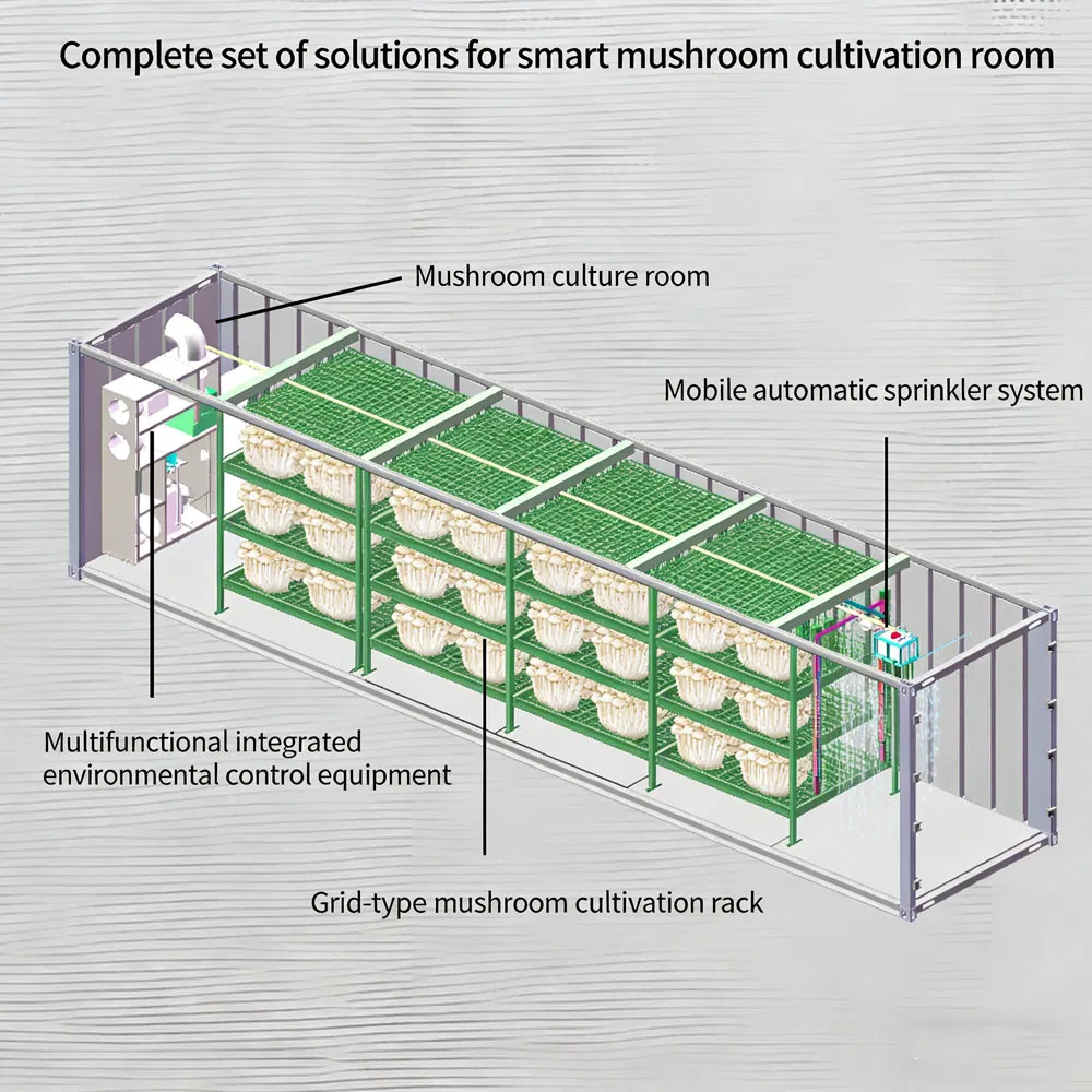40FT Container Farm Nft Hydroponic System Automated Climate Control Growing Container with Motor Light for Leafy Greens Herbs