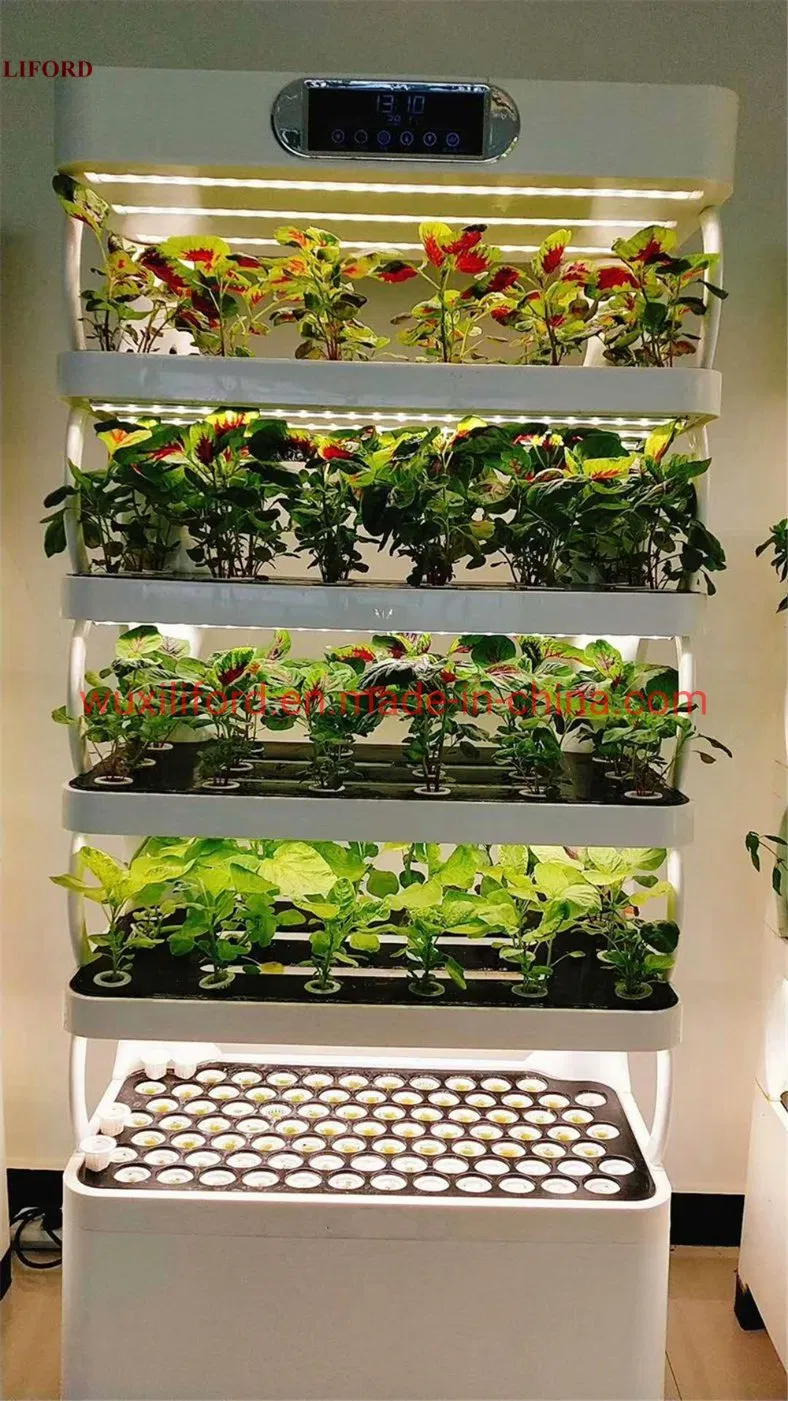 Urban Farming Indoor Hydroponics Growing System Vertical Gardening with LED