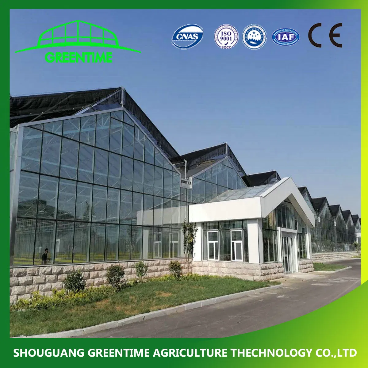 Cheap Multi-Span/Single Span Commercial Tunnel Plastic Film Glass Polycarbonate Farm Agriculture Greenhouse with Seedbed Hydroponic for Tomato Strawberry