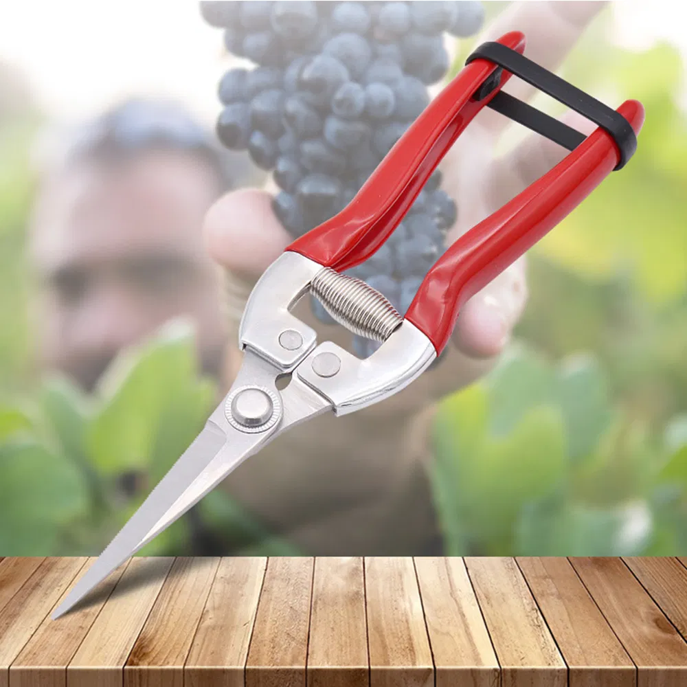 Hydroponic Blade Cutter Stainless Steel Garden Scissor Pruner Small Trimming Pruning Shears