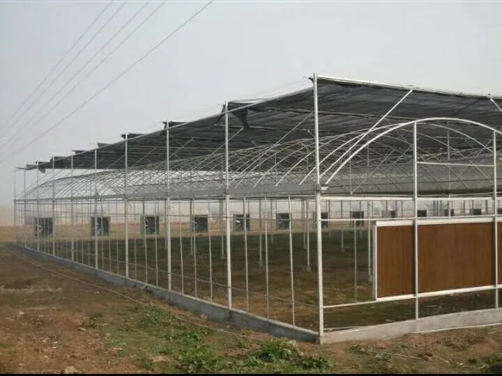 Sunshade System