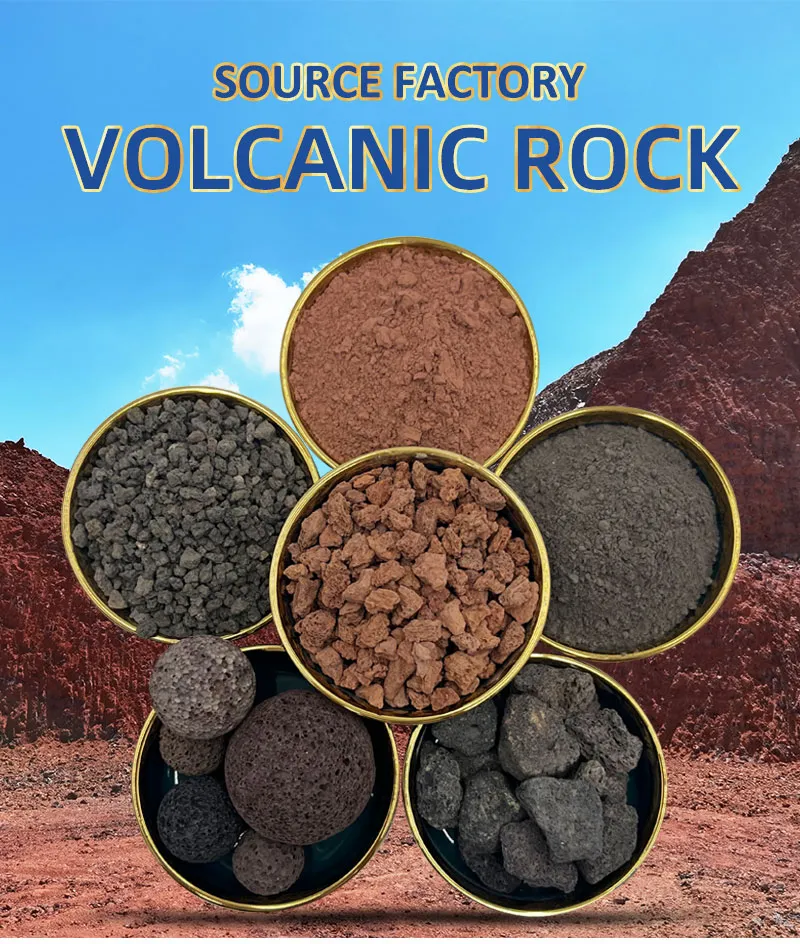 Volcanic Rock Detail 1