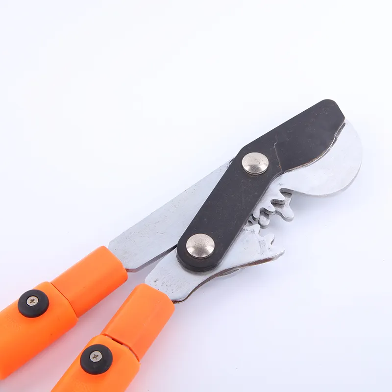 Pruning Tool 13