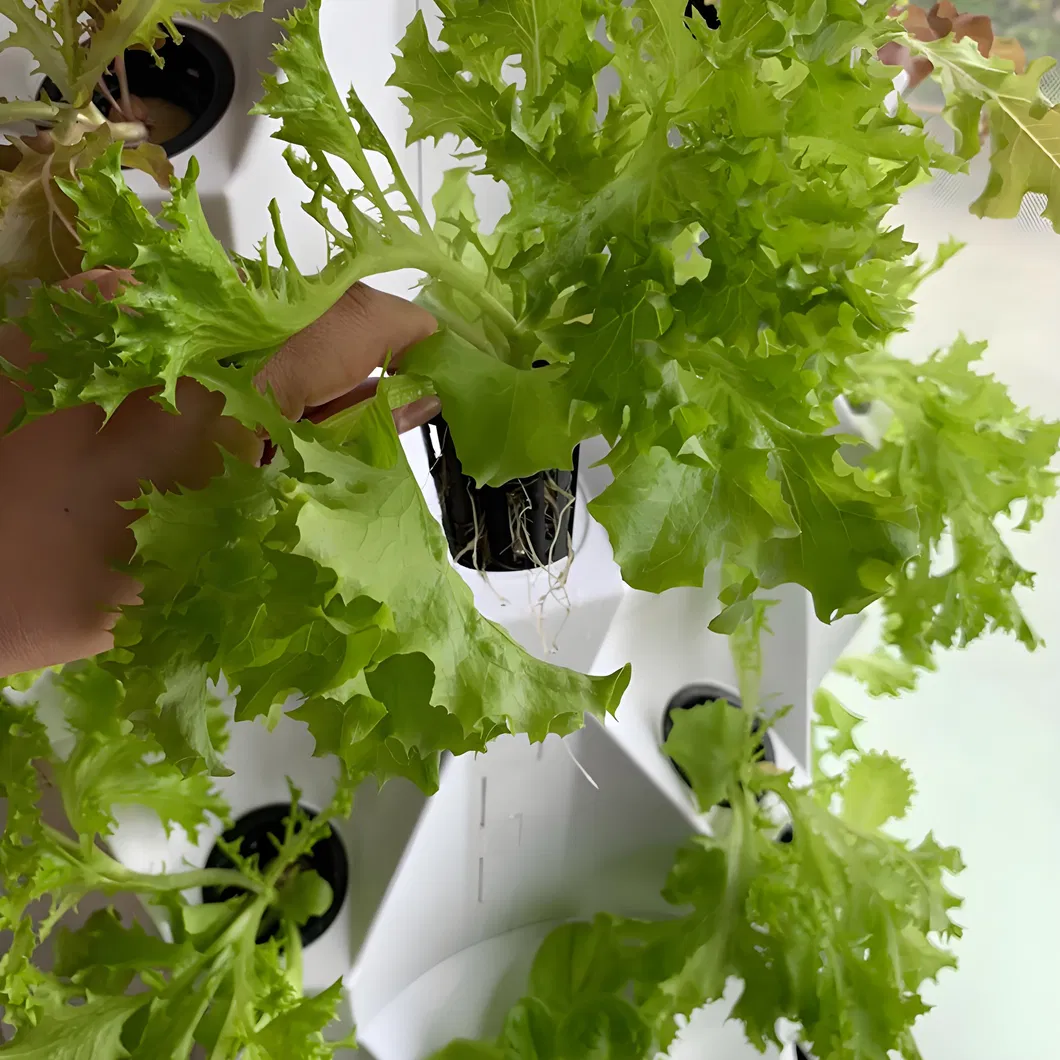 Hydroponic Tower View 1