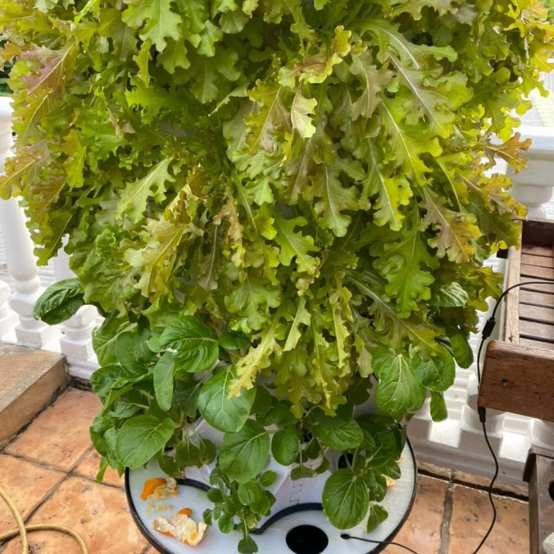 Nft Hydroponic Tower Gardening Vertical Tower Garden Aquaponics Tower System Garden