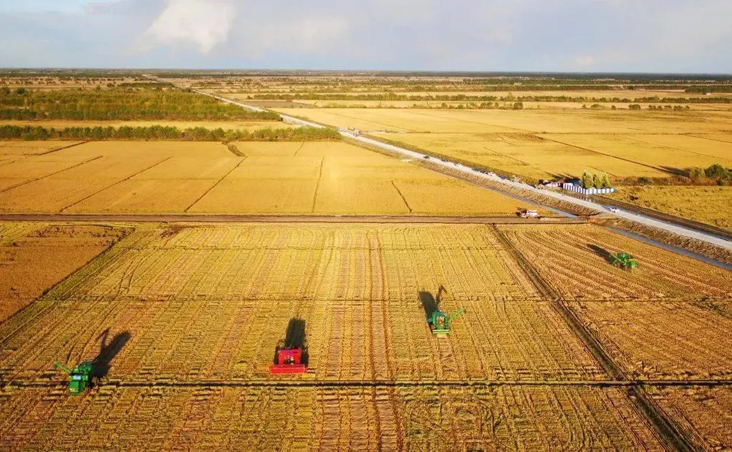 Soil Health Improvement