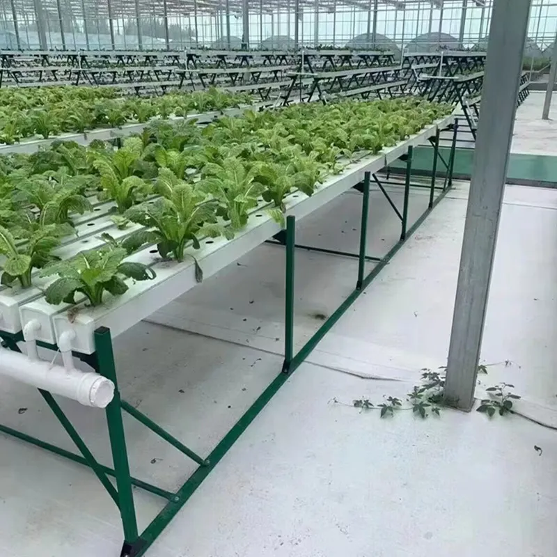 Hydroponic Setup