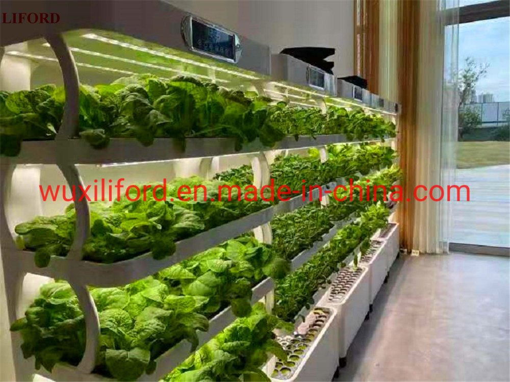 China Factory Supplier Home Gardening System Hydroponics Grow Machine Indoor Growing System Nft Hydroponic Growing System Hydroponics System Vertical