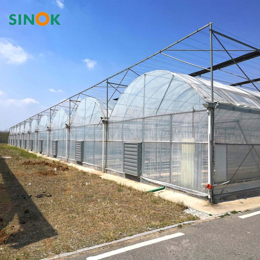 Multi-Span Agricultural/Commercial /Po/PE Film/Plastic Greenhouse Green House for Tomatoes/Cucumber/Peppers/Strawberry with Hydroponic System/Drip Irrigation