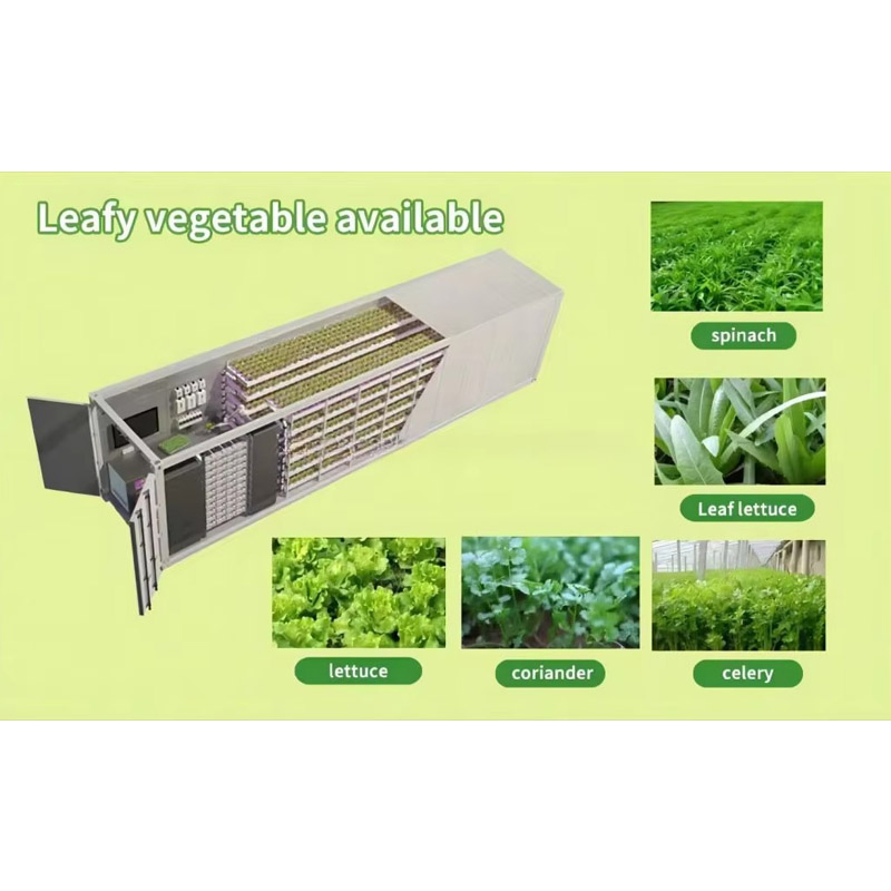Agg Automatic Animal Fodder Sprout Container / Hydroponic Barley Growing System Planting Container for Growing Herbs, Flowers and Vegetables