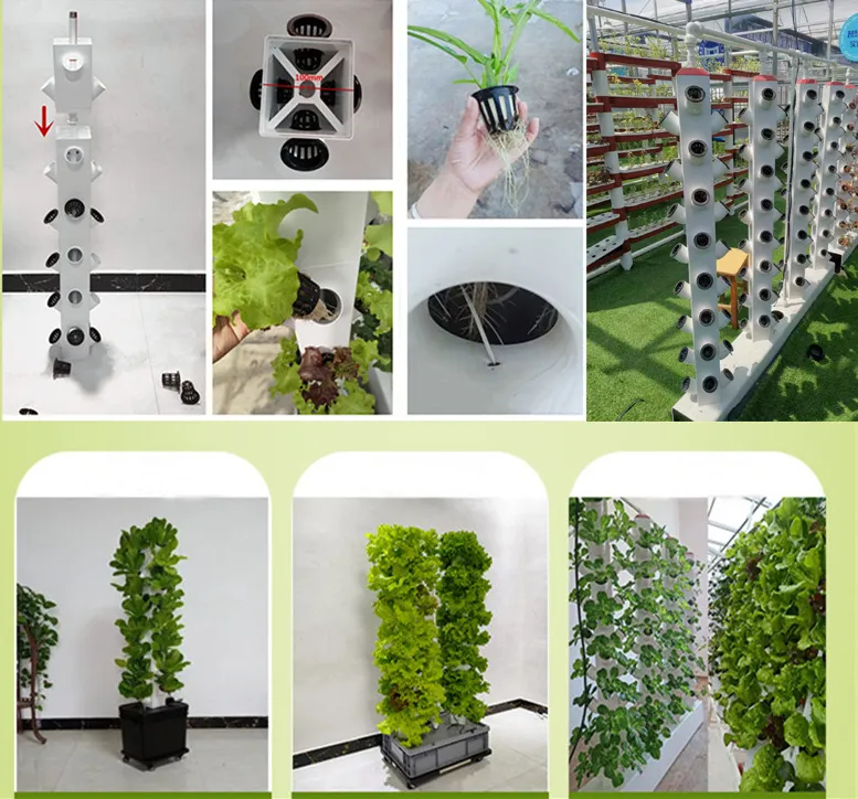 Hydroponic System Display 2