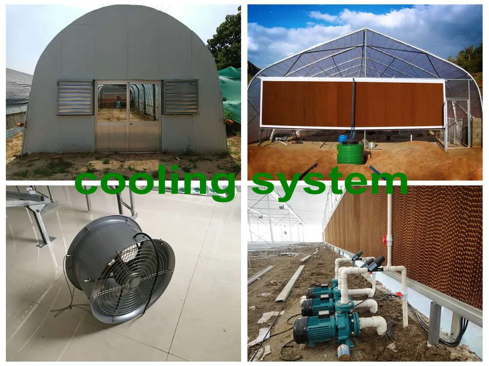 Cooling System