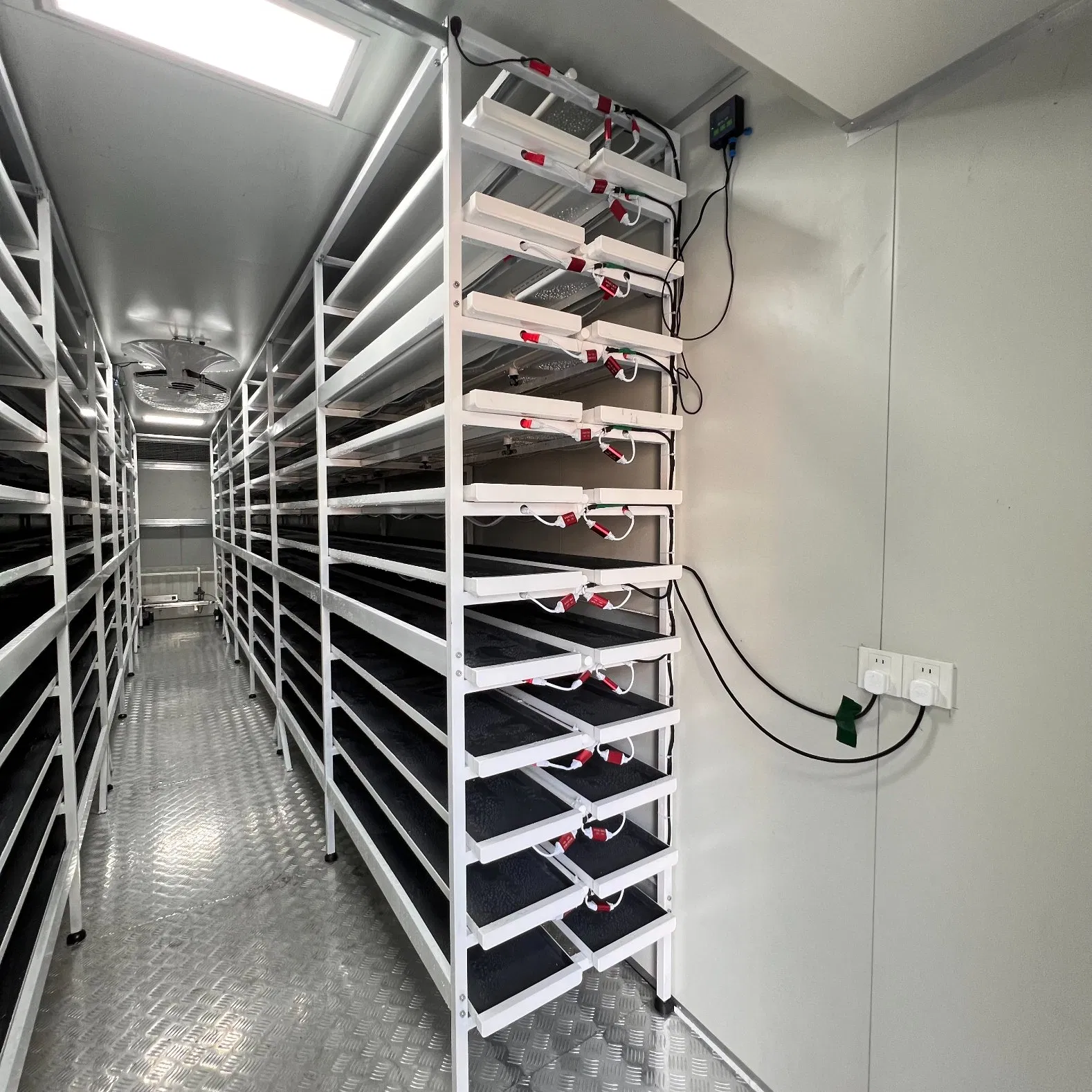 Agg Indoor Vertical Grow System Hydroponic Aeroponic Container Farm for Green Herbs Strawberries Tall Plants Indoor Vertical Grow