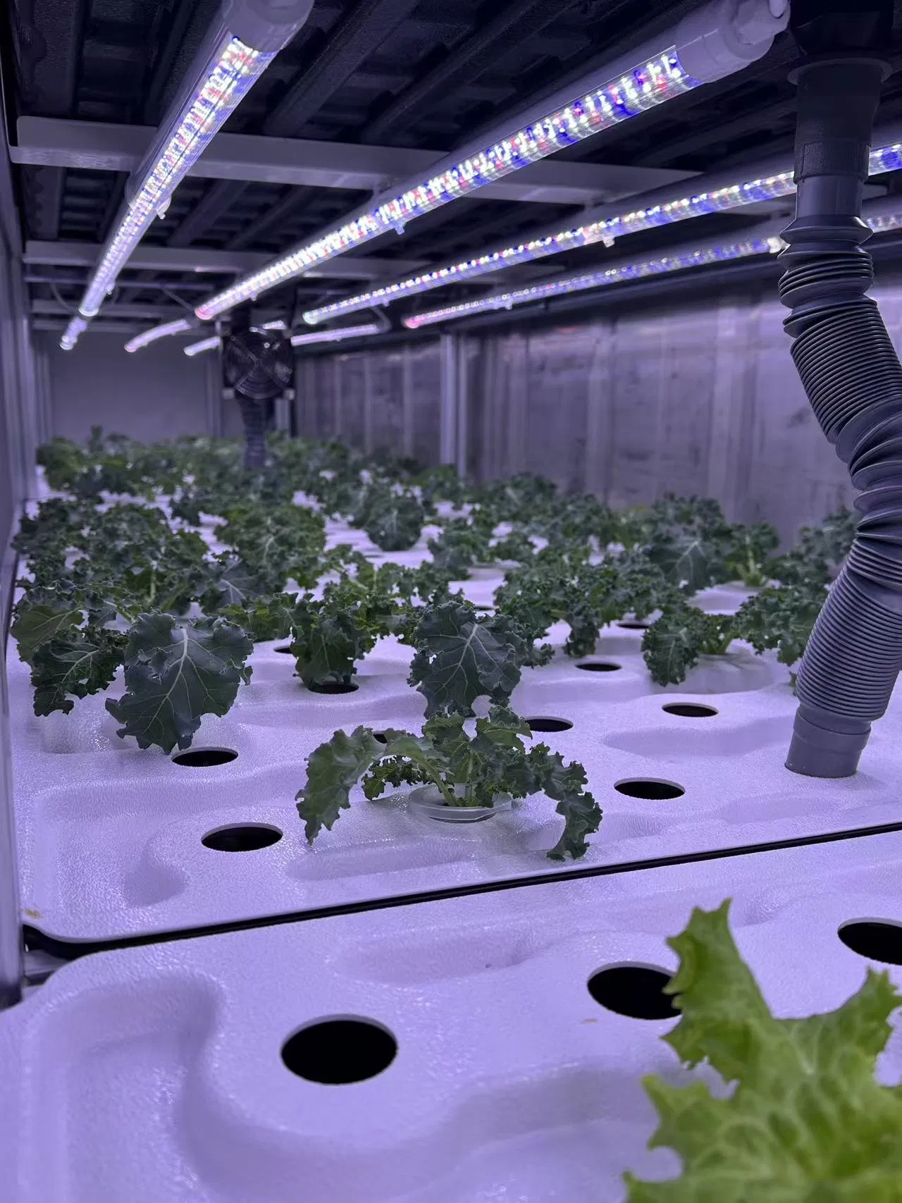 Agg Agricultural Herb Drying Rack/Multi-Layer Plant Drying Container Rack Hydroponics System Hydroponic Grow Container