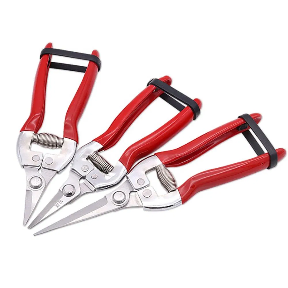 Hydroponic Blade Cutter Stainless Steel Garden Scissor Pruner Small Trimming Pruning Shears