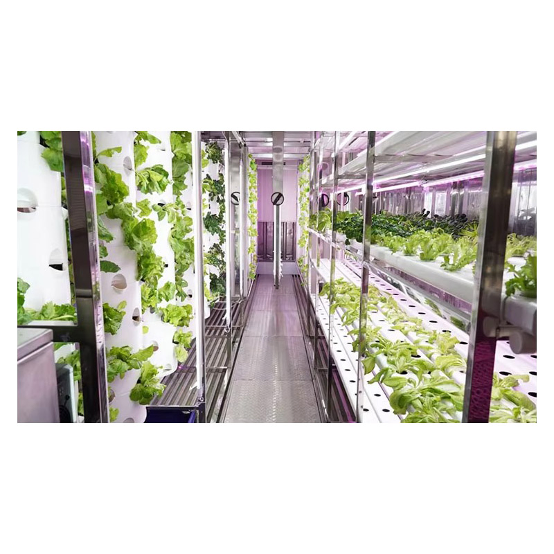 Agg 20FT Container Nft Hydroponic Farm Grow House Vertical Shipping Container Farm System Planting Container for Growing Herbs, Flowers and Vegetables
