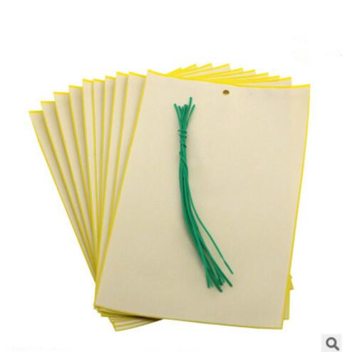 Sticky Paper Trap to Control Agriculture Pests