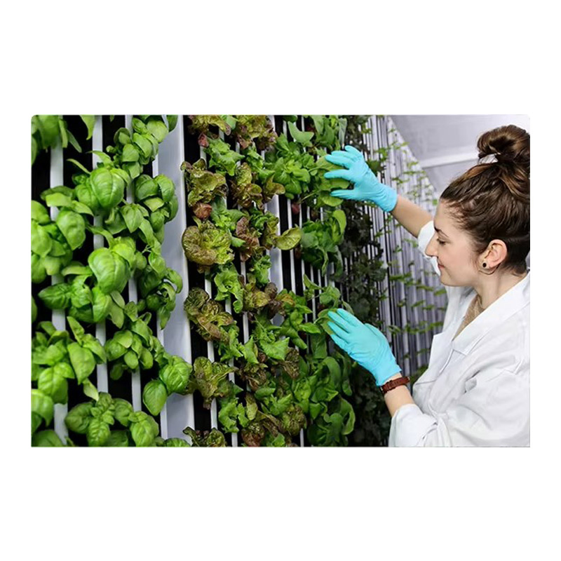 Agg Container Vertical Farms Hydroponic Container Gardening Vertical Planting Container Farm Hydroponics Agricultural Greenhouse for Growing Herbs, Flowers
