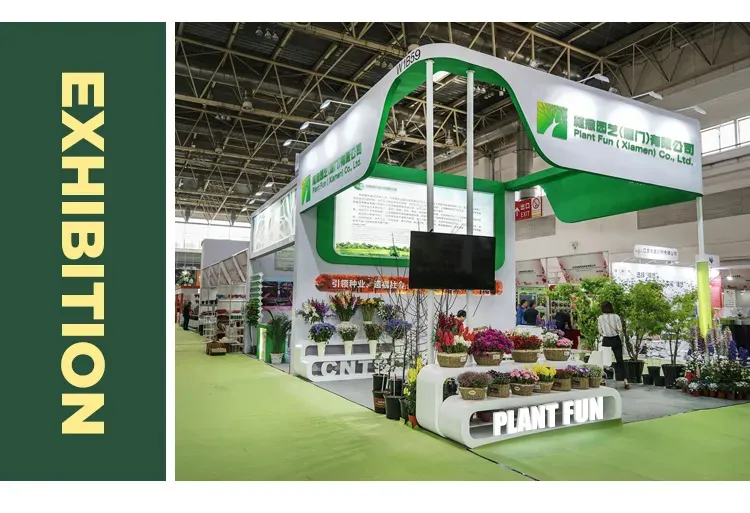 Exhibition Experience