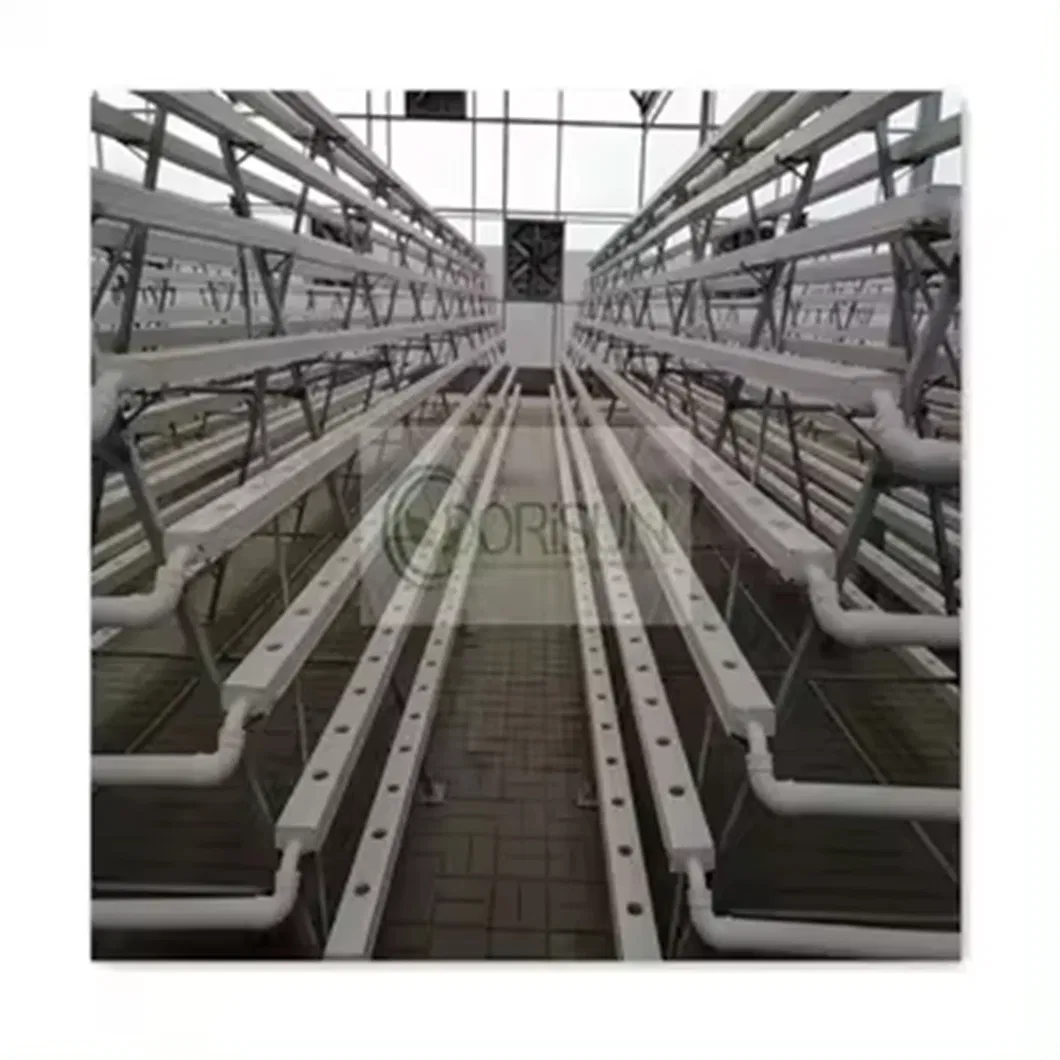 Commercial hydroponic farm