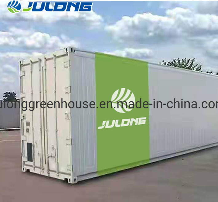 Modern Smart Hydroponic System Growing Shipping Container Greenhouses for Lettuce Leafy Vegetables Farming