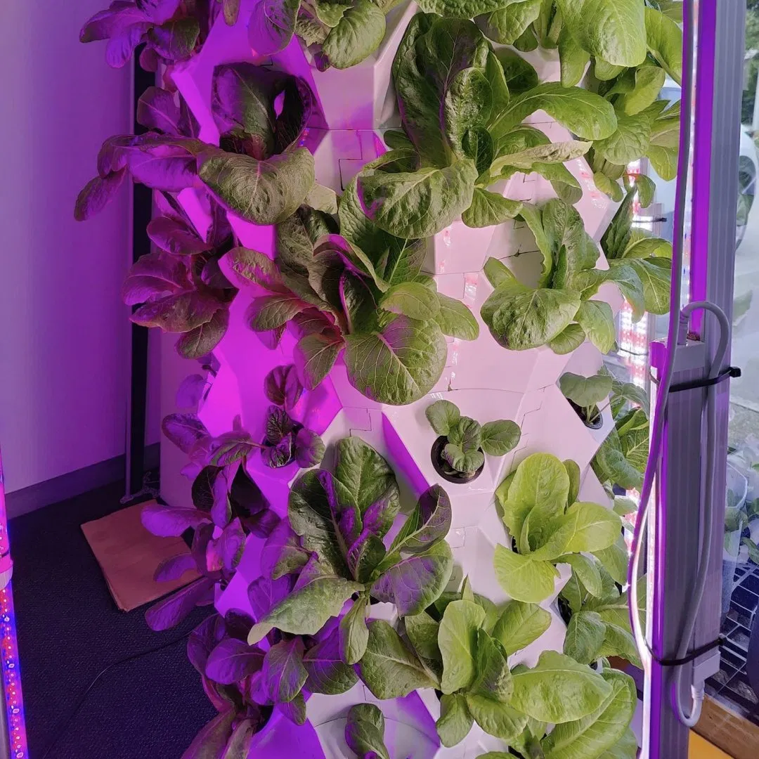 Nft Hydroponic Tower Gardening Vertical Tower Garden Aquaponics Tower System Garden