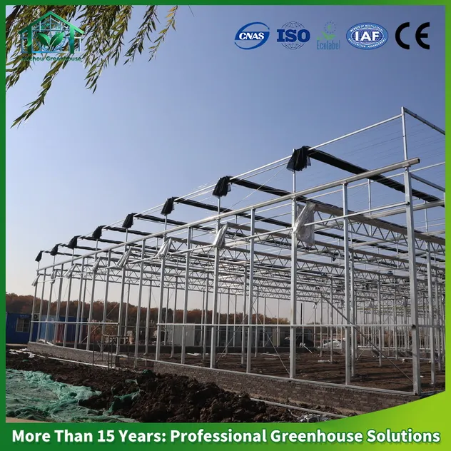 Greenhouse Display 1