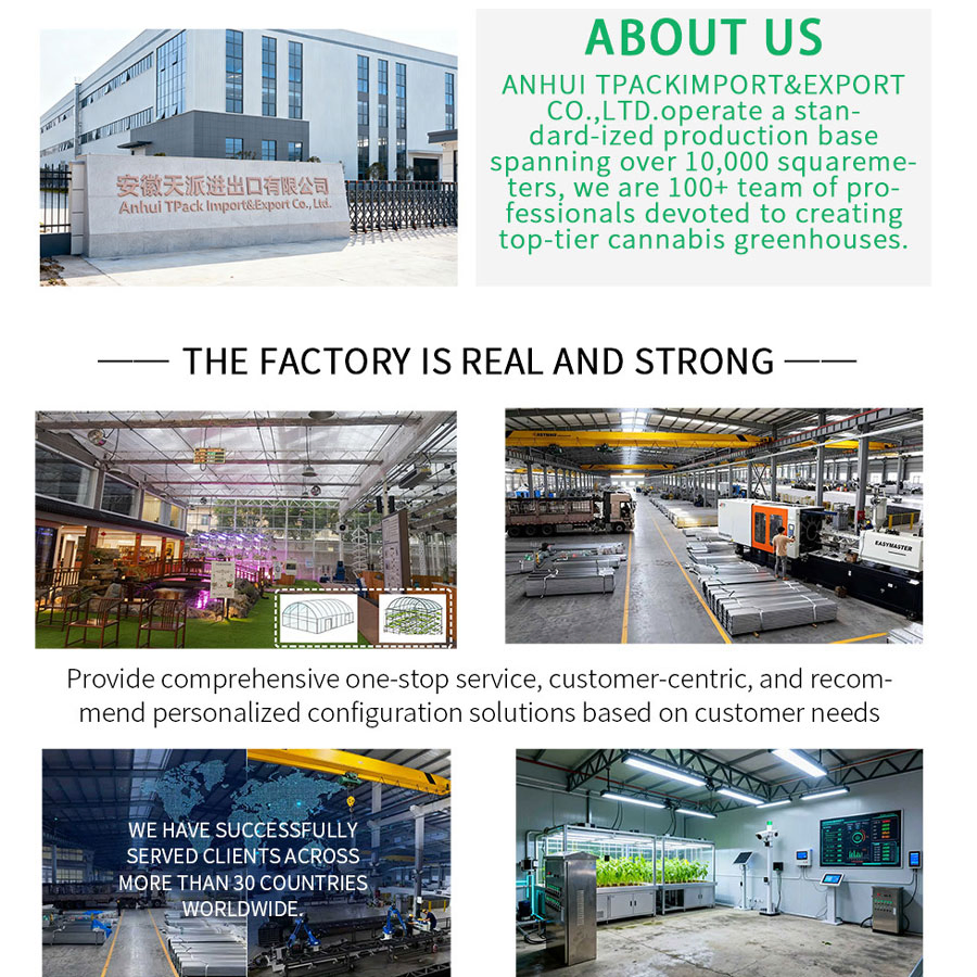 Customized Container Farm Smart Cultivator Leafy Greens Organic Agriculture Herbs Mushroom Cultivation Container