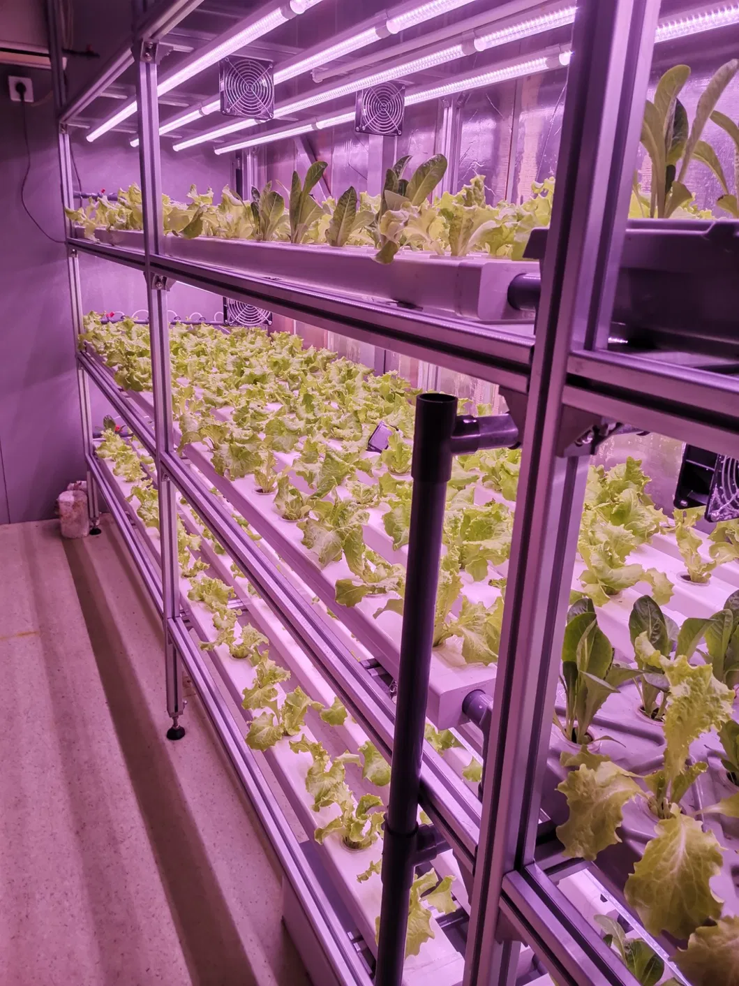 Internal Structure 1