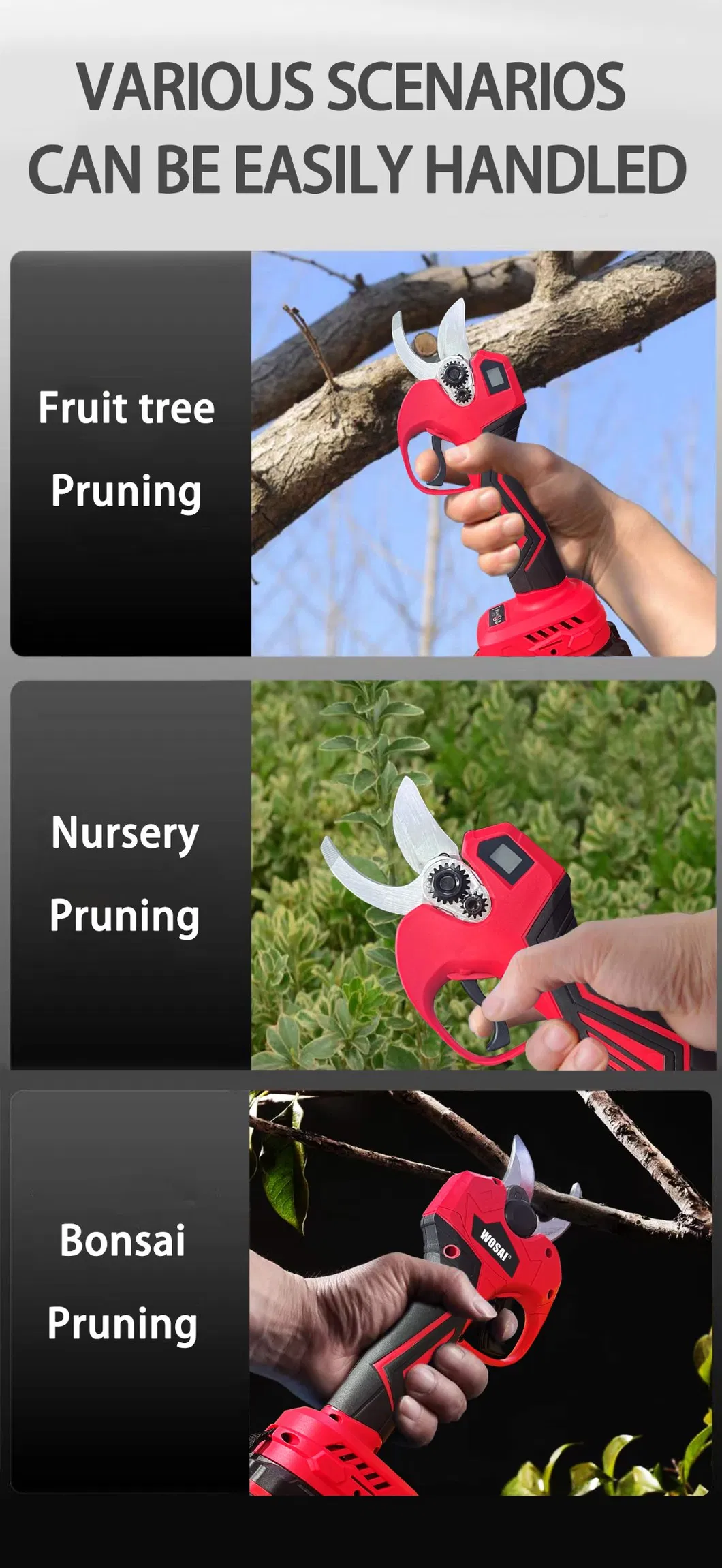 Pruning Shears Display 6