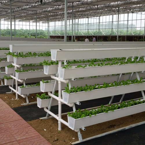 Manufacturer Hydroponic Manufacturing Strawberry Gutter Smart Farm Seedling Substrate Growing Vegetables Hydroponic Farm