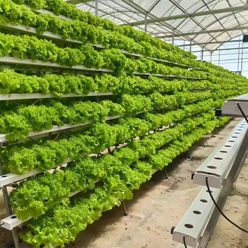 Hydroponic PVC Pipes Tunnel Complete Hydroponics System Nft Channel Hydroponic System for Vegetable Lettuce