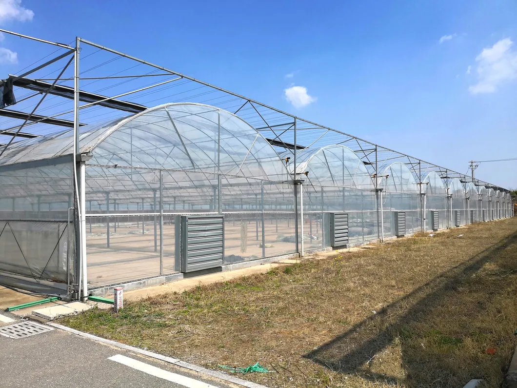 Film Greenhouse Overview