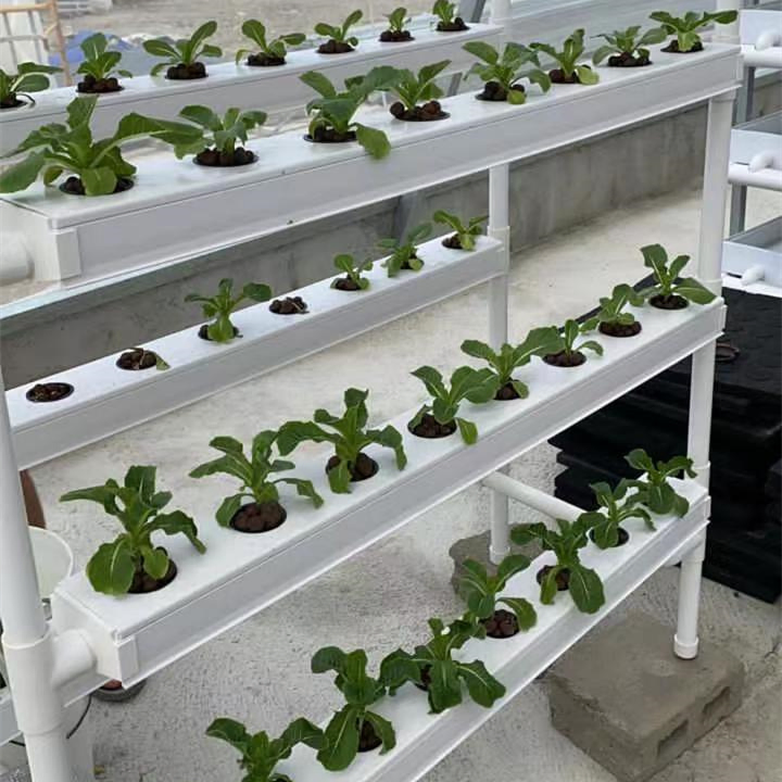 Indoor Vertical Hydroponic Nft Channel System for Leafy Vegetables