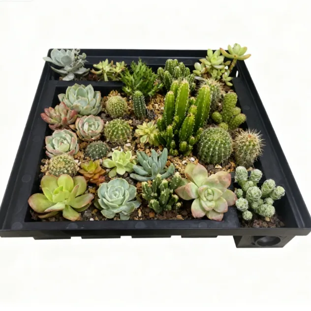 Vegetable Planting 2