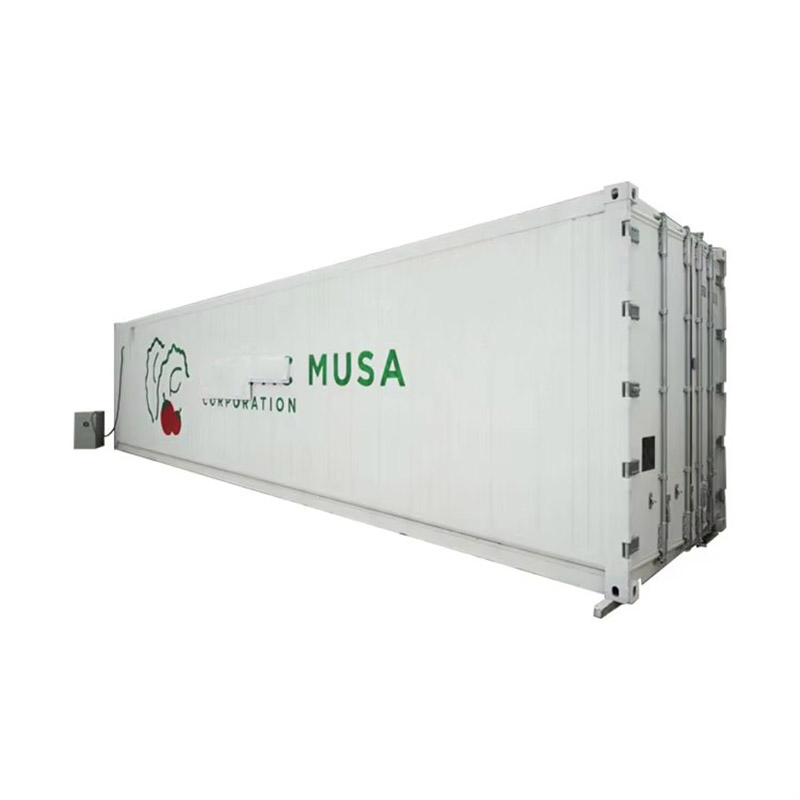 Agg Container Vertical Farms Hydroponic Container System Vertical Farming Container Farm Hydroponics Agricultural Greenhouse Planting Container for Herbs