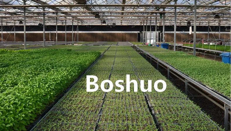 Seedling Tray Display