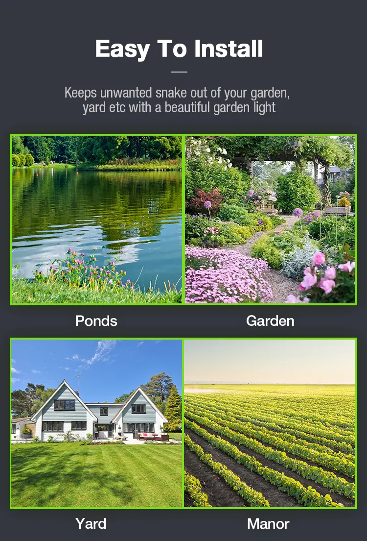 Solar Repeller Photo 12