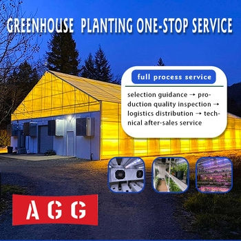 Hydroponic PVC Pipes Tunnel Complete Hydroponics System Nft Channel Hydroponic System for Vegetable Lettuce