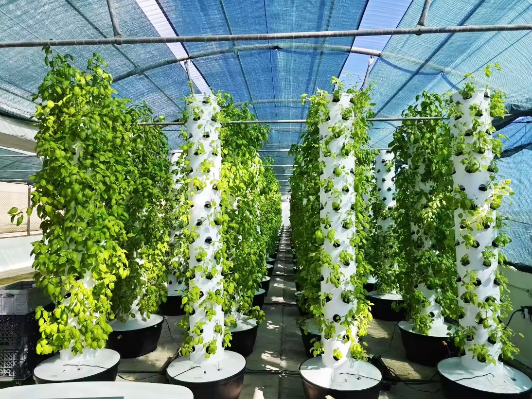 Agg Commercial Vertical Hydroponic Tower System for Greenhouse