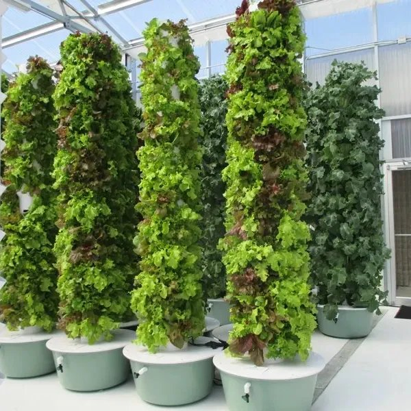Vertical Gardening Aeroponics Tower Hydroponics Tower System for Vegetable Grow